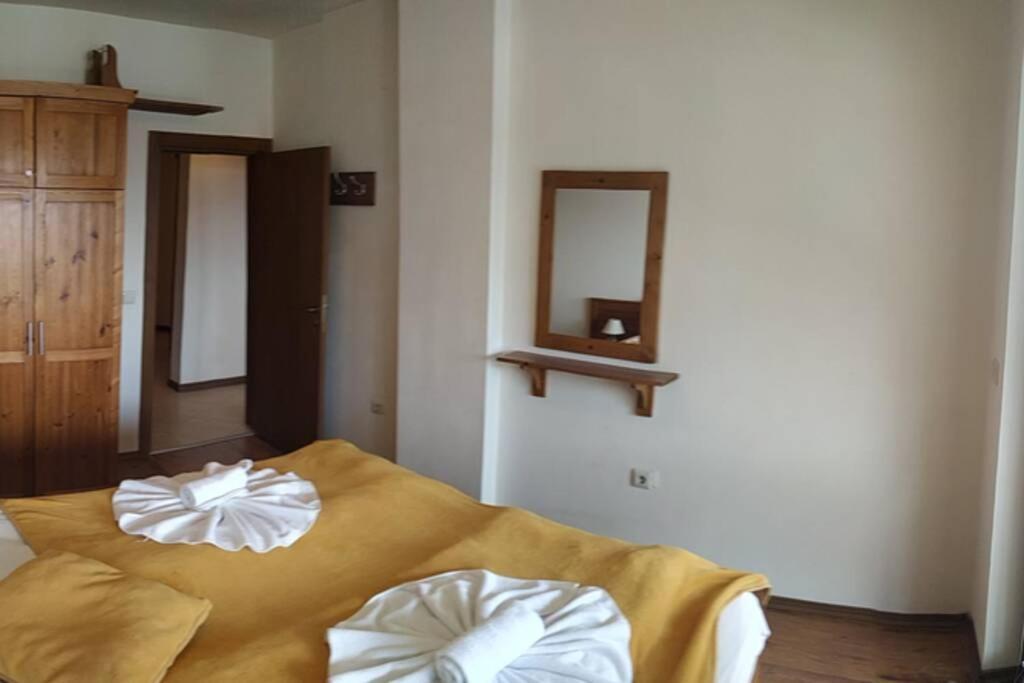 Large Gondola Apartment - Center, Neon بانسكو المظهر الخارجي الصورة